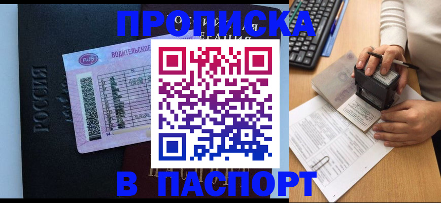 пропишу в квартире в Санкт-Петербурге